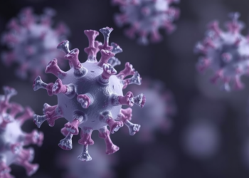 Czech Republic Emerges as a European Hub for Bacteriophage Therapy Research