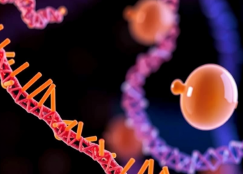 ZAR1 and ZAR2 Emerge as Master Switches Controlling Maternal mRNA Fate in Eggs and Early Embryos