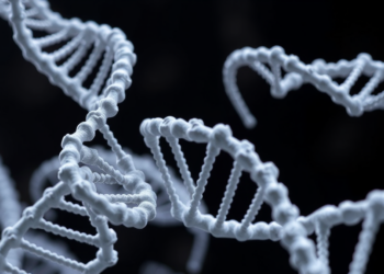 DNA Nanostructures Emerge as Versatile Weapons Against Pathogenic Microbes