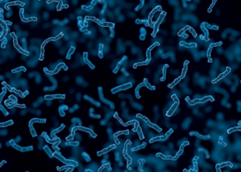 Antibiotic-Resistant E. coli Found in Sri Lanka’s Key Drinking Water River