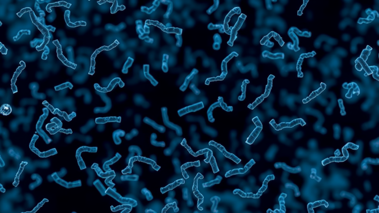 Antibiotic-Resistant E. coli Found in Sri Lanka’s Key Drinking Water River