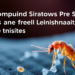 Azo Compound Shows Promise Against Chagas and Leishmania Parasites