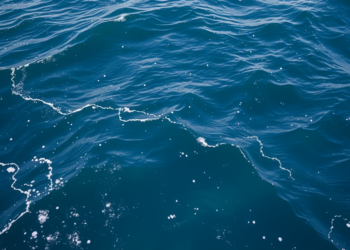 AI Is Quietly Rewriting How We Watch, Save and Manage the Ocean