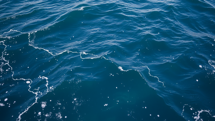 AI Is Quietly Rewriting How We Watch, Save and Manage the Ocean