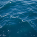 AI Is Quietly Rewriting How We Watch, Save and Manage the Ocean