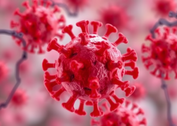 Blocking a Single Kinase May Steer Immune Cells Toward Safer Atherosclerotic Plaques