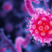 Tumor Vesicles Loaded with SPP1 Rewire Fibroblasts to Shield Lung Cancer from Immunity