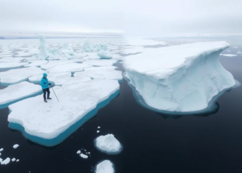 Arctic and Antarctic Sea Ice Are Changing in Radically Different Ways
