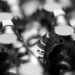 Metastable Beta Titanium Alloys Reveal Hidden Deformation Secrets Through Advanced Imaging