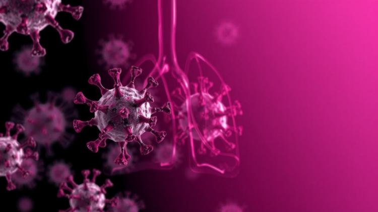 Lung Immune Cells Show Lasting Epigenetic Changes in Long COVID Patients