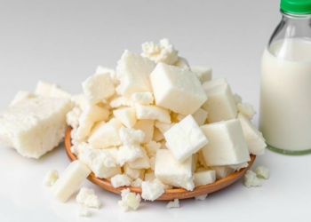 Space Food Technology Inspires New Way to Turn Salty Dairy Waste Into Bioethanol