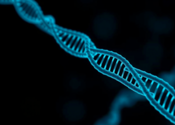 Four-Gene Signature Tied to Young Age Predicts Breast Cancer Recurrence Risk