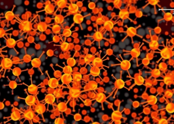 New Web Tool Lets Researchers Hand-Pick Cells Directly on Spatial Omics Images