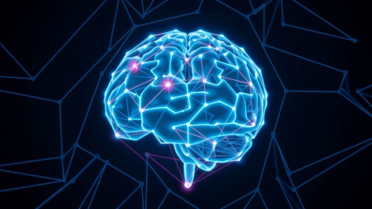 Brain Activity Geometry Sets the Limits of Human Learning