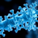 Galectin-9 Emerges as a Key Driver of Immune Evasion in Cervical Cancer Progression
