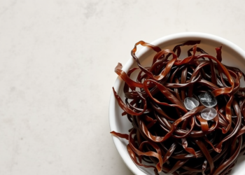 Simple Hot Water Unlocks Powerful Antioxidants from Indian Brown Seaweeds
