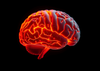 AI Brain Age Clock Trained on Death Risk Predicts Dementia Differently in Men and Women