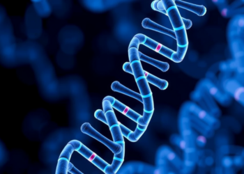 Hidden RNA Tag Drives Paclitaxel Resistance in Bladder Cancer, Study Finds