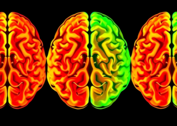 Brain-Wide Activity Ties Subcortical Decline to Spreading Tau in Early Alzheimer’s