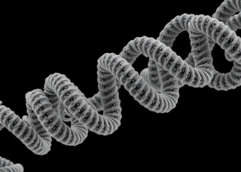 MemBrain v2 Brings End-to-End Membrane Analysis to Cryo-Electron Tomography