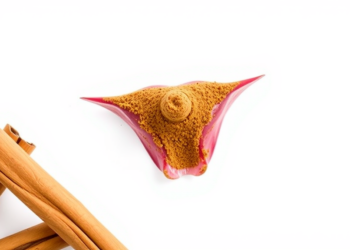 Cinnamon Compound Shields Ovarian Cells From Hormone-Driven Damage in PCOS Model