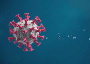 Hidden Viral Killings of Plankton Revealed Through Genetic Traces in Seawater