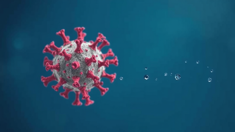 Hidden Viral Killings of Plankton Revealed Through Genetic Traces in Seawater