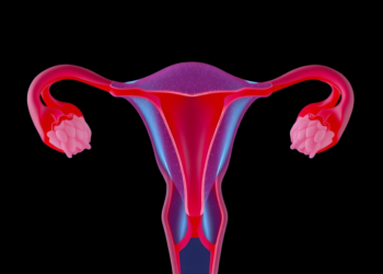 Machine Learning Predicts Which Women Will Face Early Ovarian Failure Within Three Years