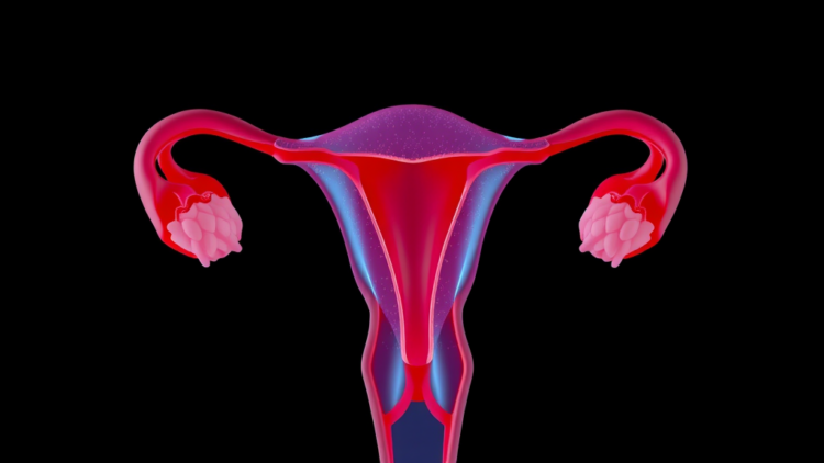 Machine Learning Predicts Which Women Will Face Early Ovarian Failure Within Three Years