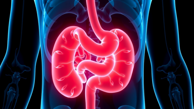 Immune Side Effects May Signal Stronger Tumor Shrinkage and Longer Survival in Gastric Cancer