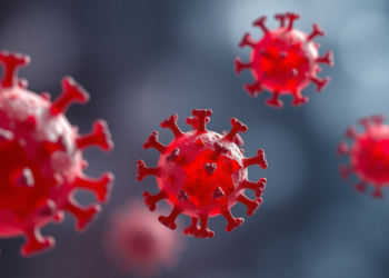 Cell-Free Hemoglobin and Iron Found Enriched in COVID-19 Stroke Clots