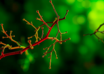 Histamine Signals Through H1 Receptors to Steer Microglia in Tic-Like Behavior Study
