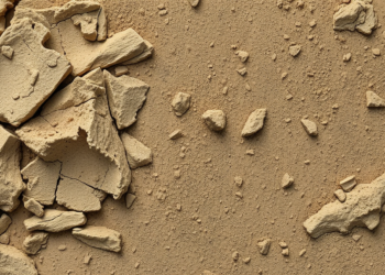 Clay Surface Area and Pore Size Steer Soil Carbon Storage Differently