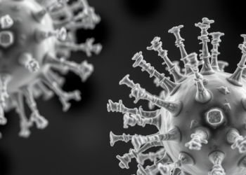 Stealthy Superbug Emerges in Austria as New Vancomycin-Resistant E. faecium Clone Evades Standard Tests