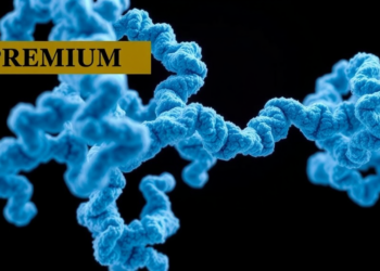 Bispecific Antibody Meets Antibody-Drug Conjugate in Promising Small Cell Lung Cancer Trial