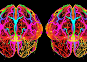 New AI Pipeline Turns Tangled 3D Brain Videos into Clear Neuronal Activity Maps