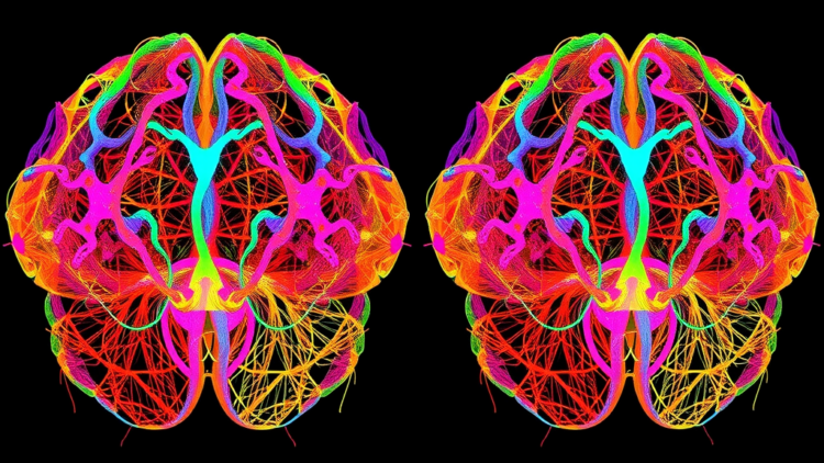 New AI Pipeline Turns Tangled 3D Brain Videos into Clear Neuronal Activity Maps
