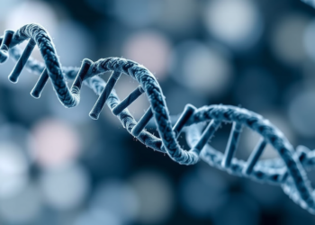 Common Lupus Gene Variant Boosts Antiviral Defenses at the Cost of Autoimmunity Risk
