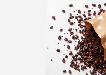Spent Coffee Grounds Turned Into Carbon Dots That Boost Antibacterial Food Packaging
