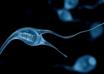 Cryoprotectant-Free Vitrification Leaves Hidden Molecular Marks on Human Sperm