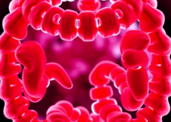 Dual Immunotherapy Edges Out Pembrolizumab in Cost-Effectiveness for MSI-High Colorectal Cancer