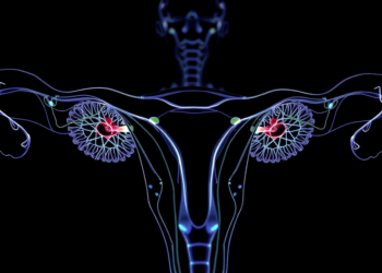 AI Fuses Hormones and Imaging to Transform Ovarian Reserve Assessment