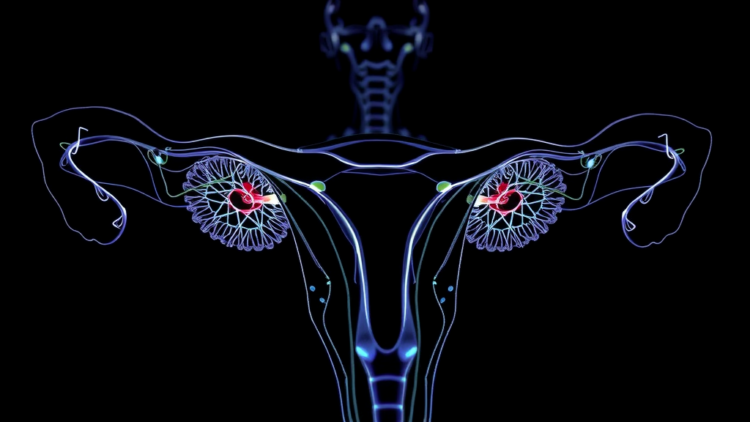 AI Fuses Hormones and Imaging to Transform Ovarian Reserve Assessment