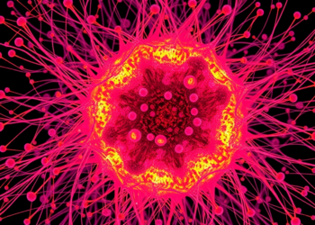 AI Graph Tool scFormer Uncovers Rare Cell States Hidden in Single-Cell and Spatial Data