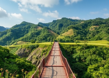Biodiversity Conservation May Bridge Divides on Climate Policy, Japanese Survey Finds