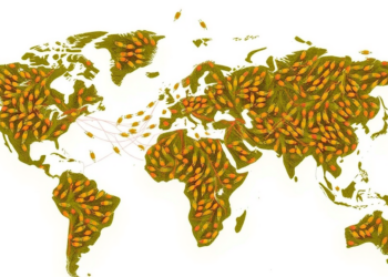 Swarm Intelligence Gives the R-Tree a Faster Way to Map the World