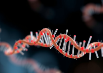 Tiny RNA Molecule Pushes Schistosome Parasites Toward Self-Destruction