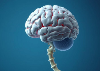 ACE2 Loss May Tie Parkinson’s Disease to Bone Loss Through Shared Brain and Bone Pathways