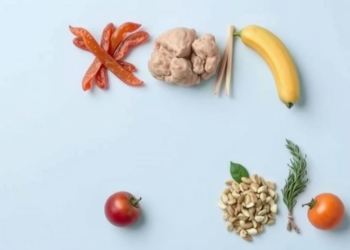 Malnutrition Emerges as Key Modifiable Driver of Cognitive Frailty in Older Adults