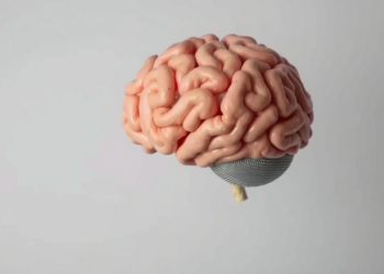 When the Brain Doesn’t Know Which Task to Do, Interference Clouds Perception